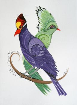 Violet & Green Turacos