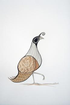 The Northern Bobwhite Quail No. 1