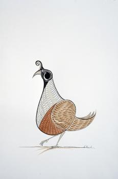 The Northern Bobwhite Quail No. 2