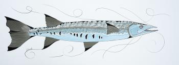 Barracuda
