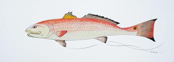 Redfish