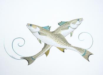 Double Speckled Trout