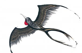 The Frigate Bird (Small)